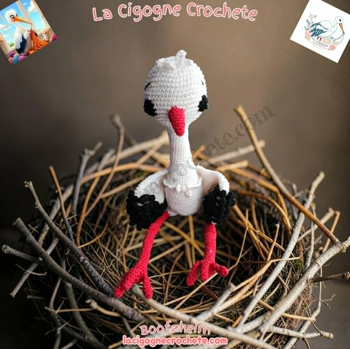 Premier assemblage de la cigogne au crochet