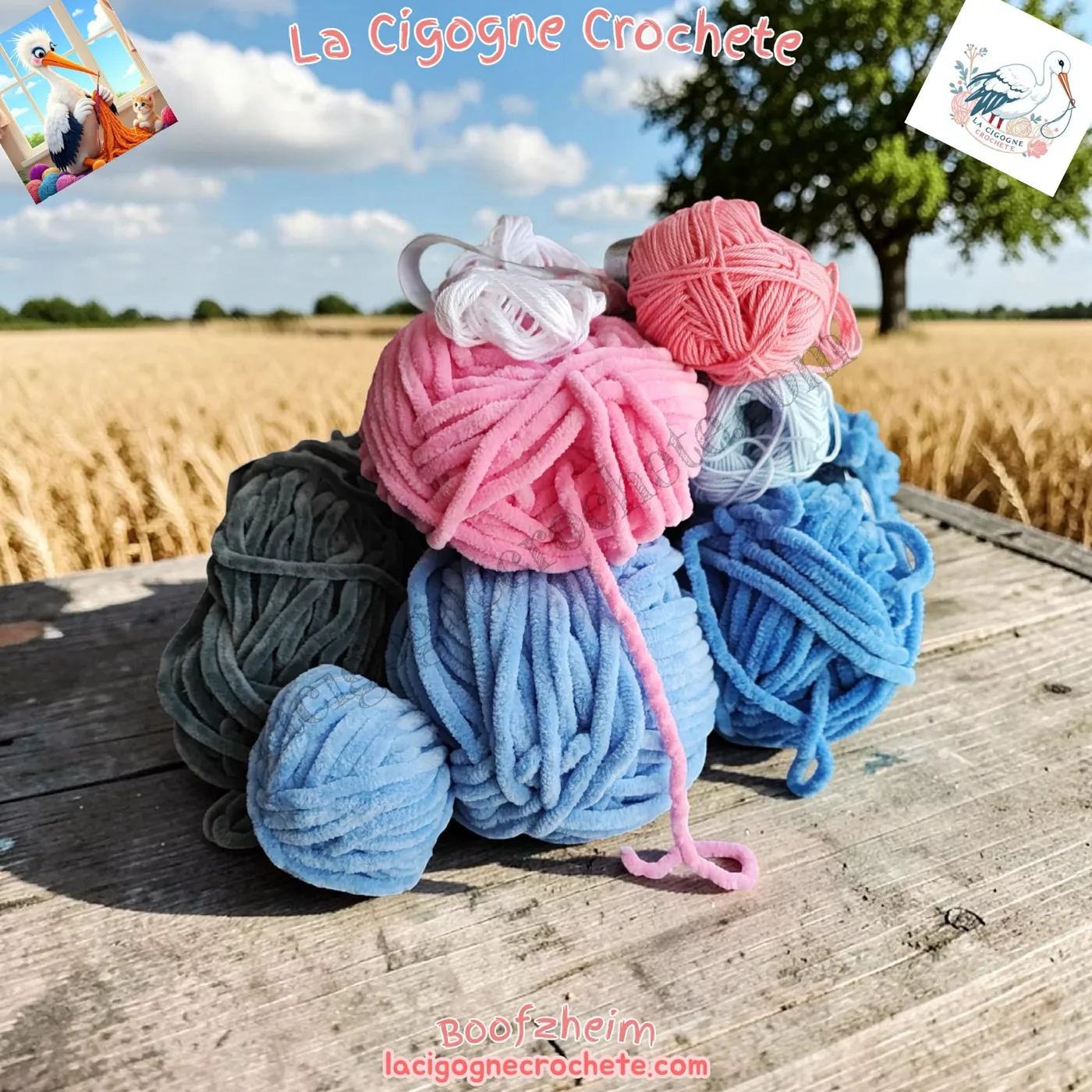 Couleurs choisies pour créer les perroquets au crochet