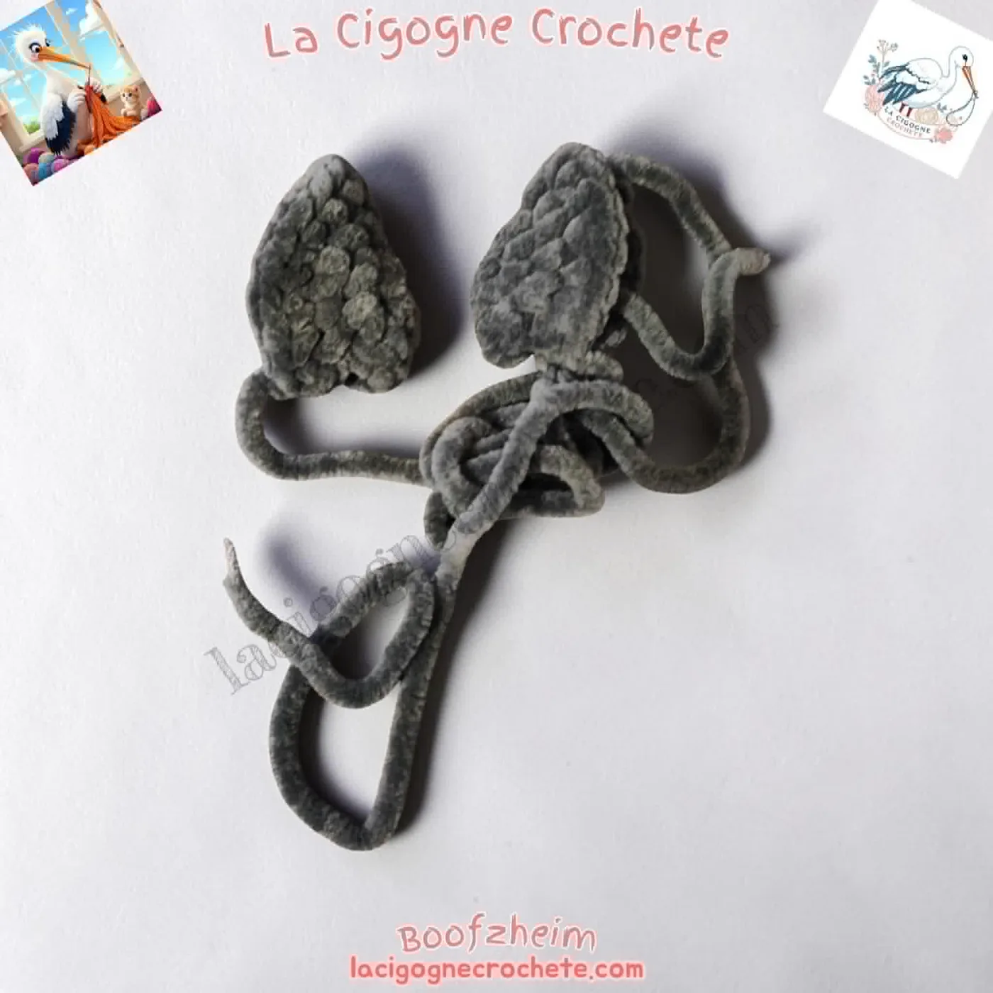 Bec des perroquets au crochet